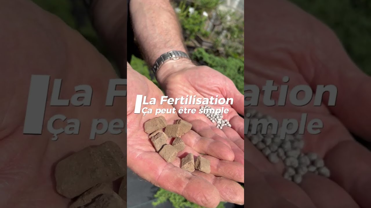 La fertilisation des bonsaïs, ça peut être simple.