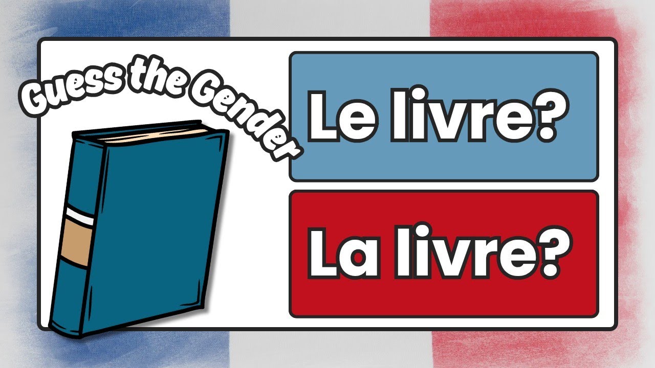 French Gender Quiz: Test Your French Vocabulary for Beginners
