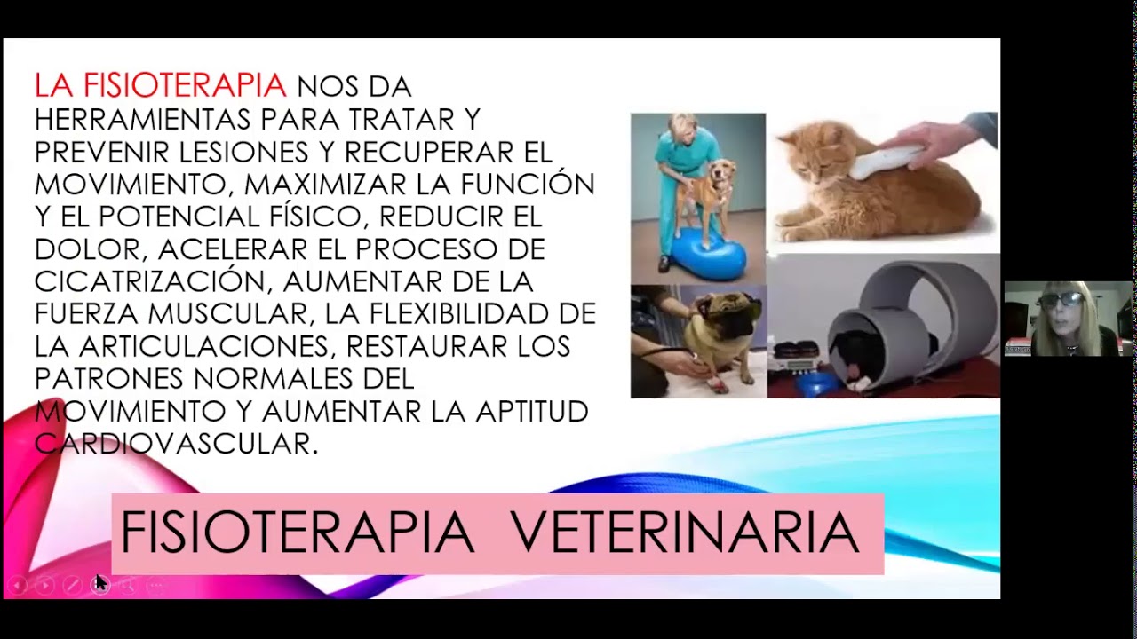 WEBINAR REHABILITACION Y TERAPIA FISICA EN ANIMALES DE COMPAÑIA FORVET