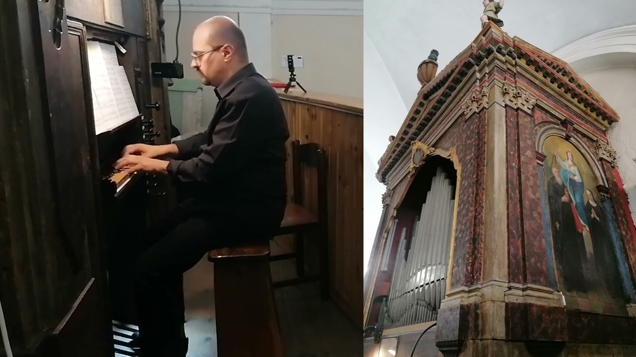 Concerto d'Organo - Aune di Sovramonte (BL) - Organista Manuel Tomadin