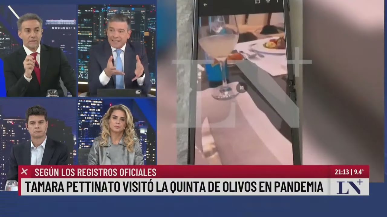 Polémico video: Tamara Pettinato había sido una de las personas que visitó Olivos en pandemia