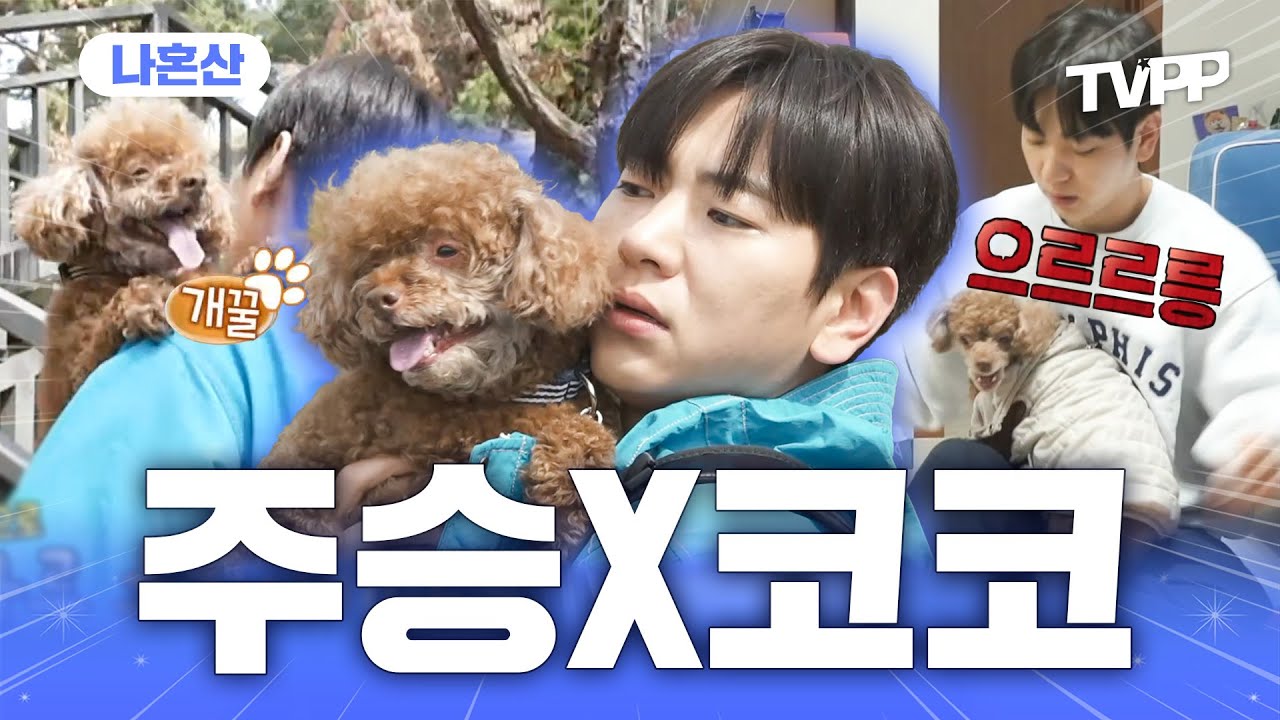 【#TVPP】가깝지만 먼 둘 사이💗 주승X코코 친해지길 바라 | 나혼자산다 | TVPP | MBC 250124 방송