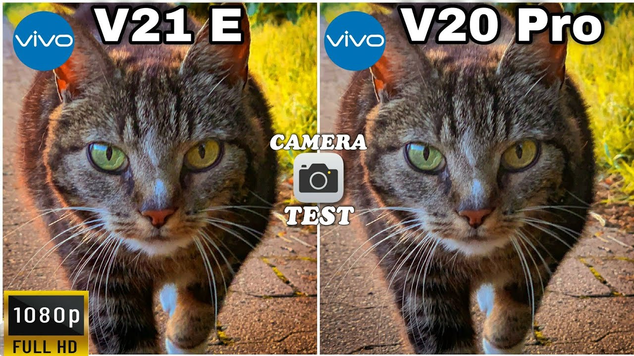 Vivo V21 E vs Vivo V20 Pro Camera Test 😲 | vivo V21 E Camera Comparison 📸