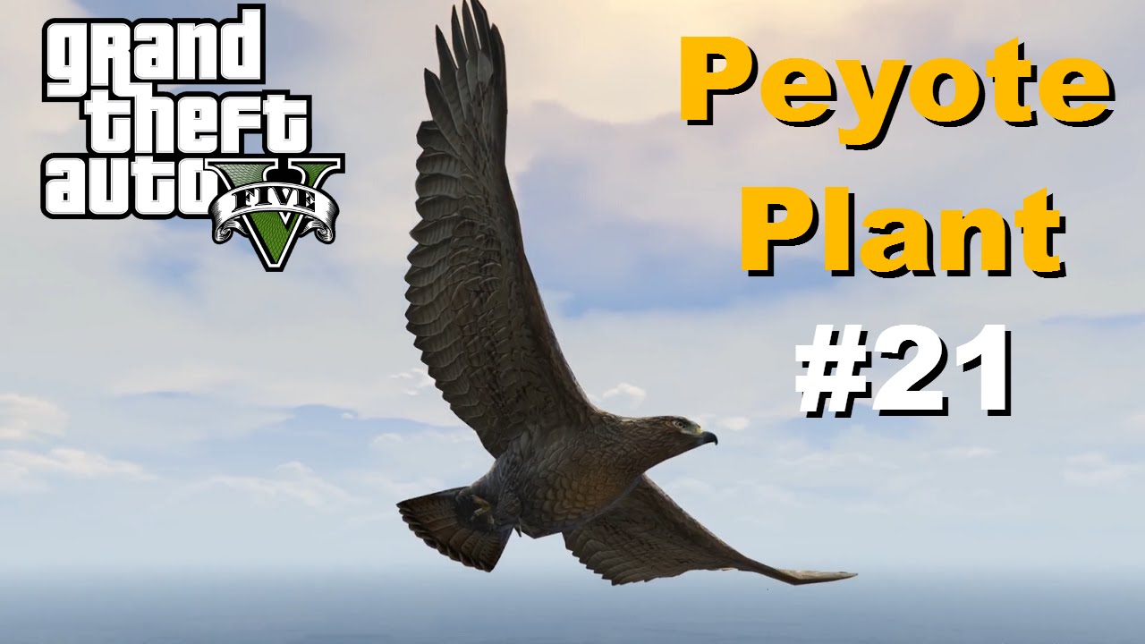 GTA V - Peyote Plant #21 Chicken Hawk
