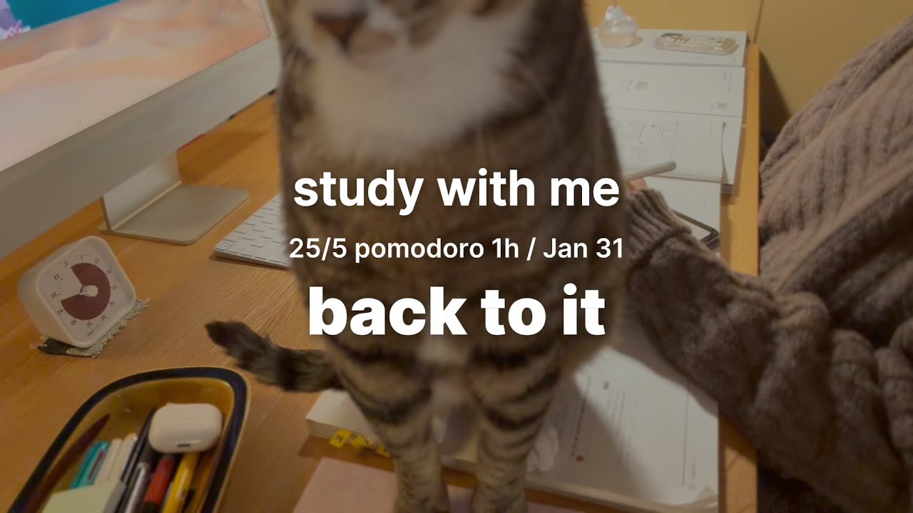 25/5 pomodoroㅣcalm, focus, no talkingㅣ1 hour study with meㅣJan 31