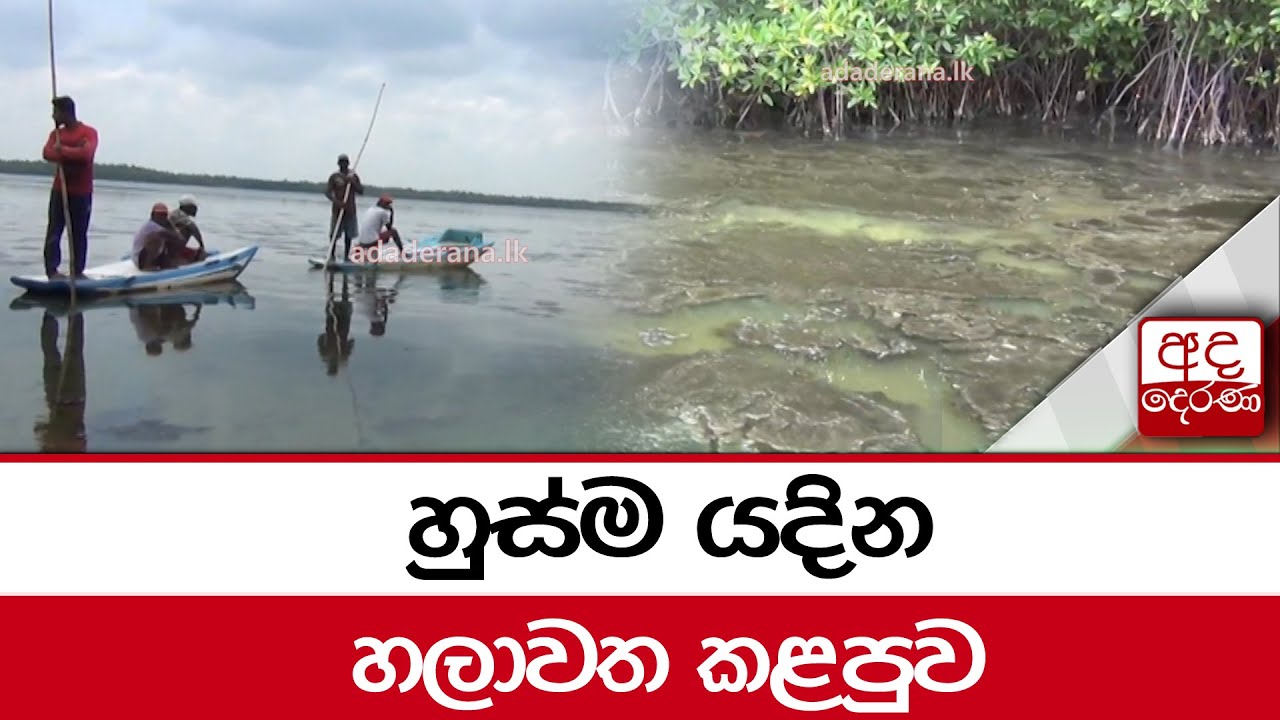 හුස්ම යදින හලාවත කළපුව