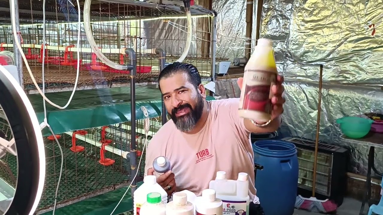 فيديو مهم للغاية في تجهيز استقبال الكتكوت مع الرسام محمد نجيب 💪💪💪