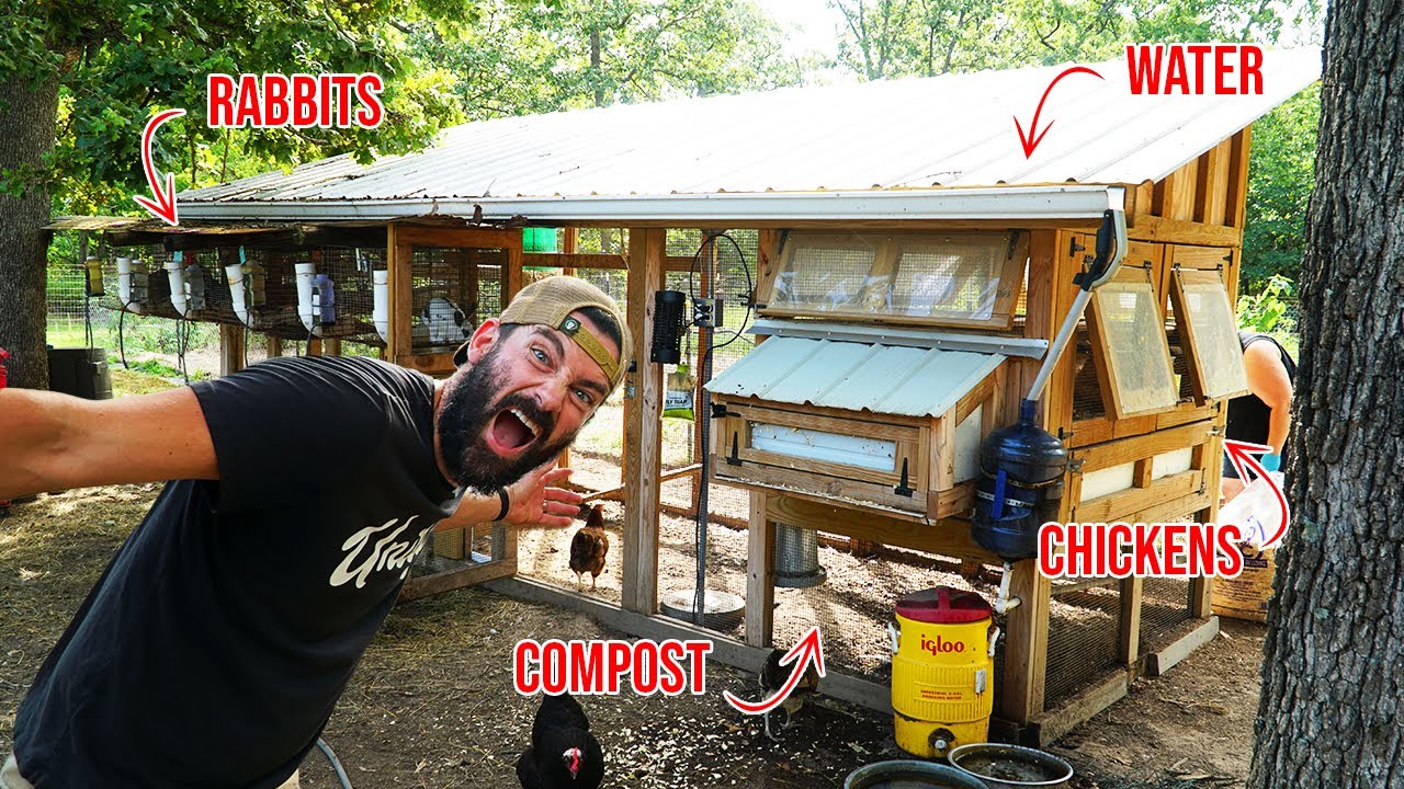 Couple turns DIY chicken coop into a PERMACULTURE MASTERPIECE!