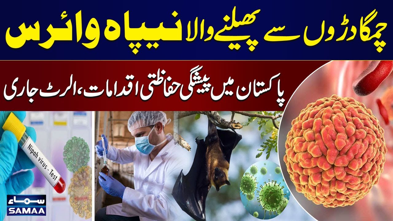 Bats-Borne Nipah Virus Spreads in India | Pakistan Issues Early Warning and Safety Measures