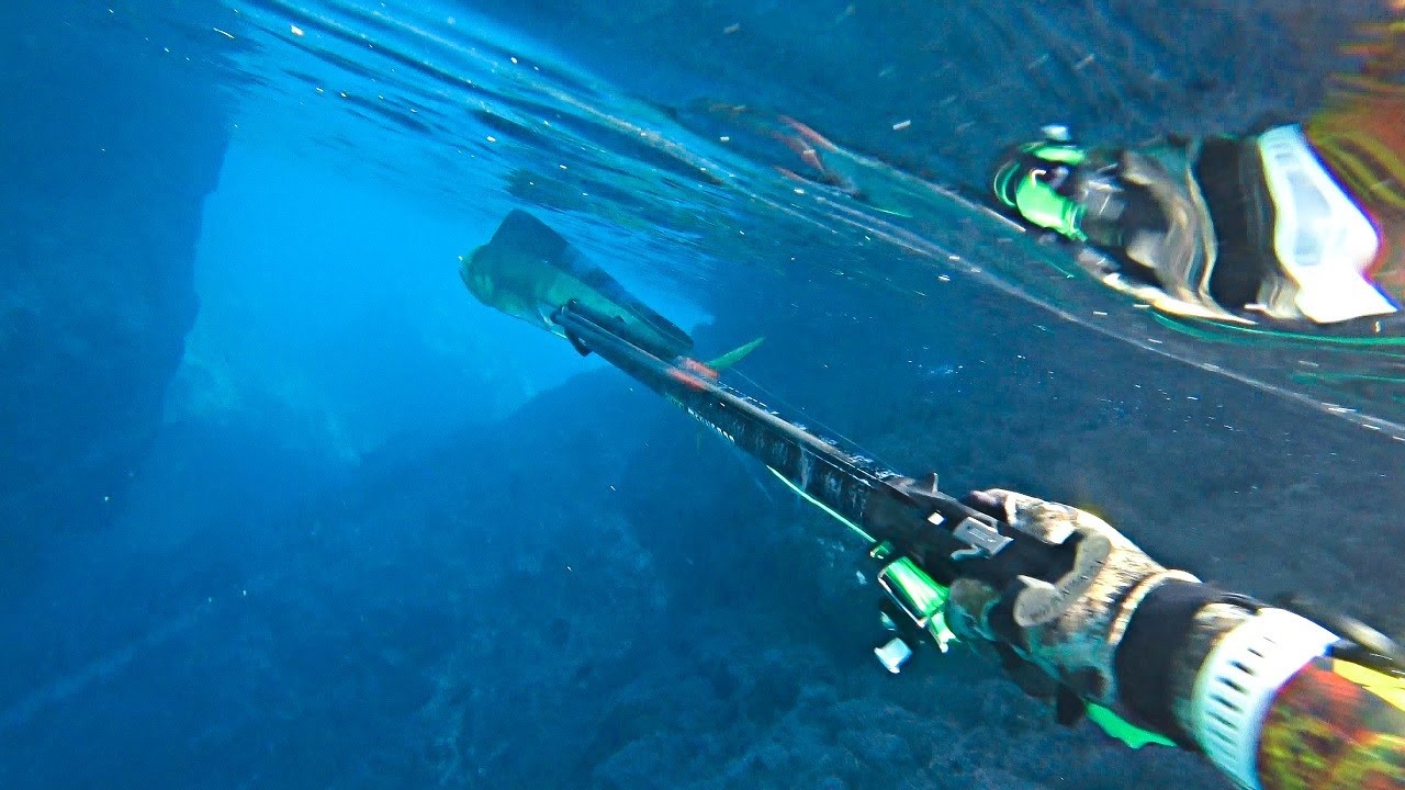 Spearfishing Τhe Most Sustainable Fish In the World - A Moment of Madness