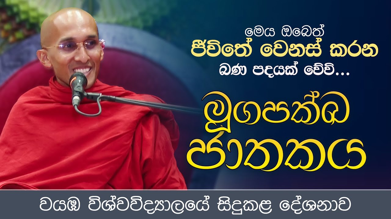 මෙය ඔබේත් ජීවිතේ වෙනස් කරන බණ පදයක් වේවි... මූගපක්ඛ ජාතකය | Venerable Ankubure Amithadeepa Thero