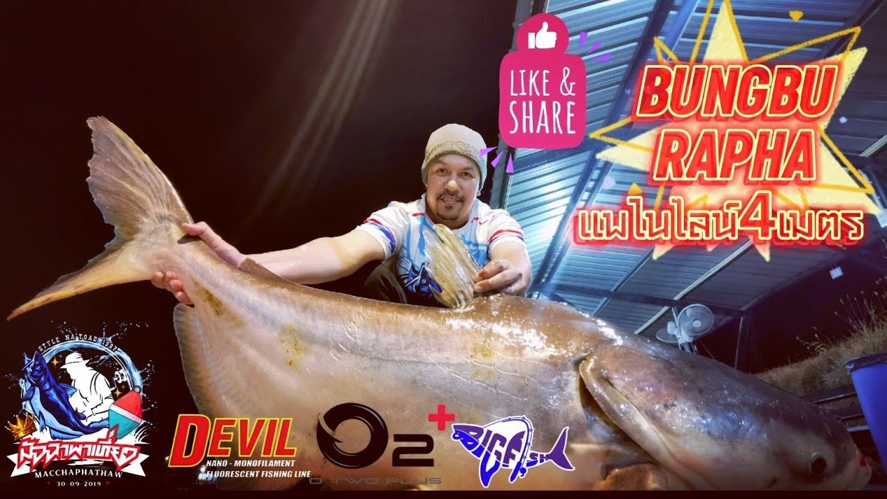 @macchaphathaw9869 ตกปลาบึกบึงบูรพา พนัสนิคม, ไลน์4เมตร, ห้ามพลาด, หัวเชื้อมัจฉา, ผงมัจฉาไฮเกรด❤️📌