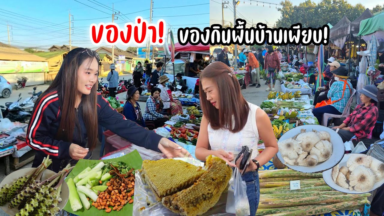 กาดประตูล้อ ผึ้งป่า ผักป่าหากินยาก ปลาหมอ เห็ดโคน มีแต่ร้านอร่อยๆ