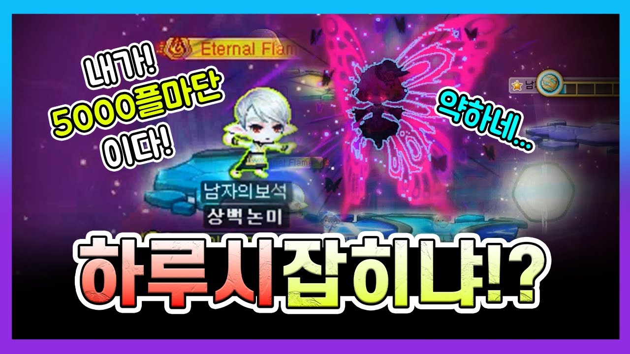 5000플마단이니 하드 루시드 쉽겠지...? [일리움 육성 8화]