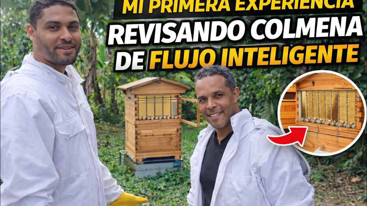 Primera vez revisando colmenas de flujo inteligente 