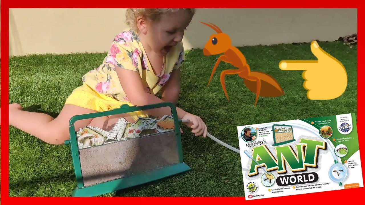 Interplay Ant World DIY 🐜 Build an Epic Kids Ant Farm Adventure!