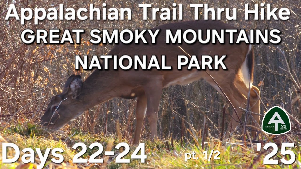 Smokies pt 1/2 (amazing views!)