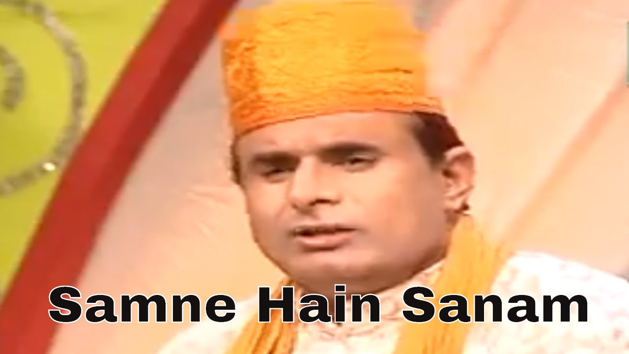 Samne Hain Sanam Aur Kya Chahiye | Zaheer Miyan Qawwali | Rang E Sailani | Teena Audio