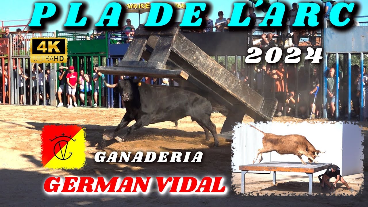 🔝🎥4K TARDE TOP DE LA GANADERIA GERMAN VIDAL