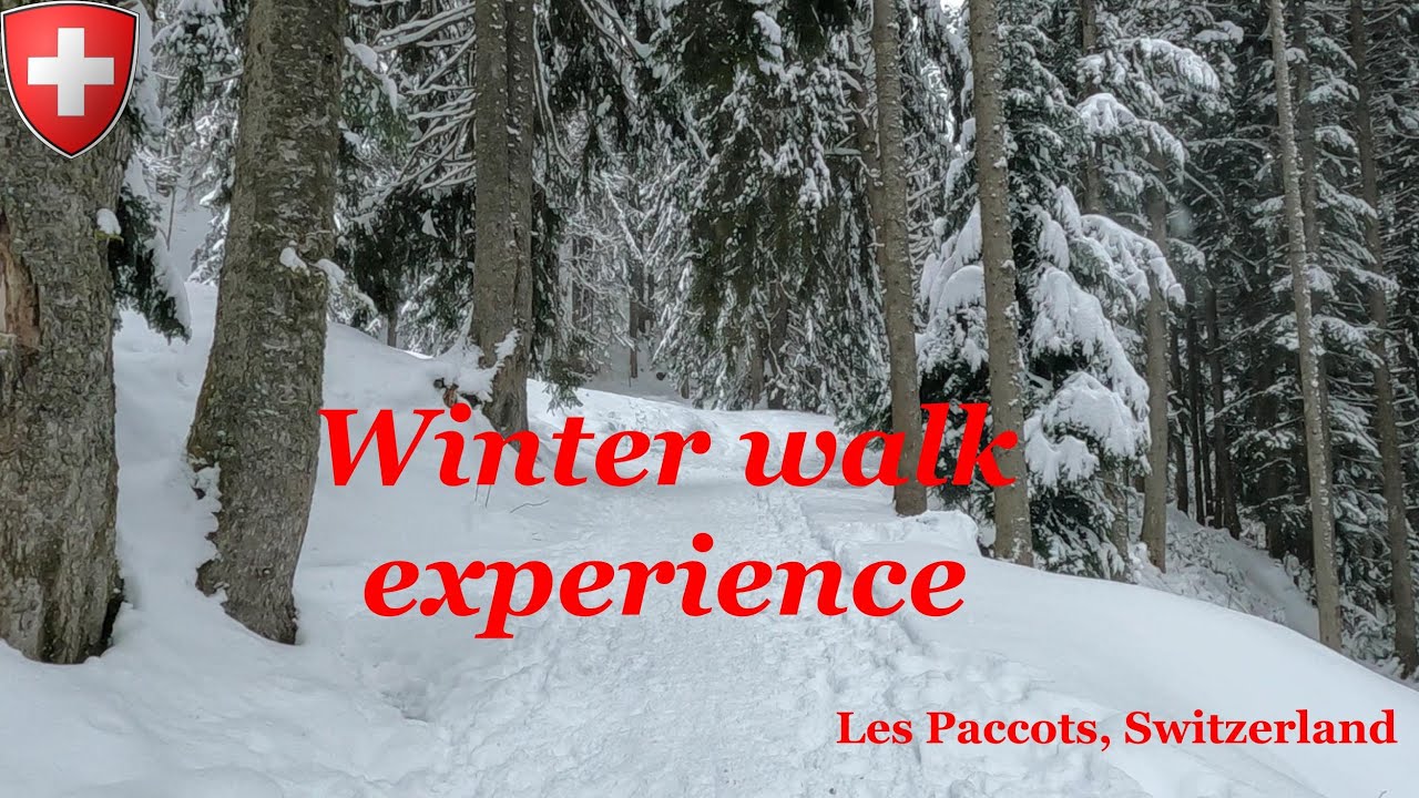 Amazing winter experience - nature in Switzerland 🇨🇭 | 4K Scenic Relaxation Snow Walk