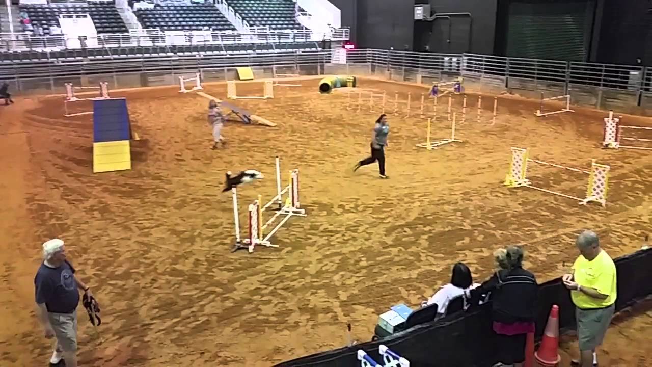 Chapter Arcadia 2015