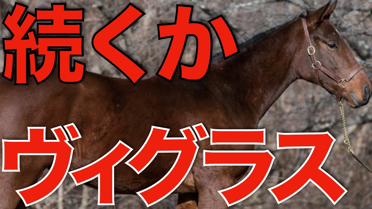 ダート界のレジェンド、サウスヴィグラスの血は続くか？大本命の後継が登場。