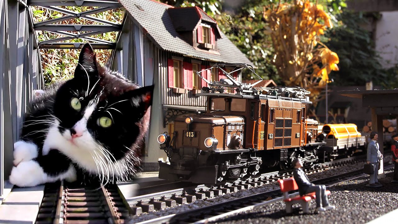 Letzter Herbstfahrtag und Gartenbahn wird winterfest gemacht 🚂🍂😺