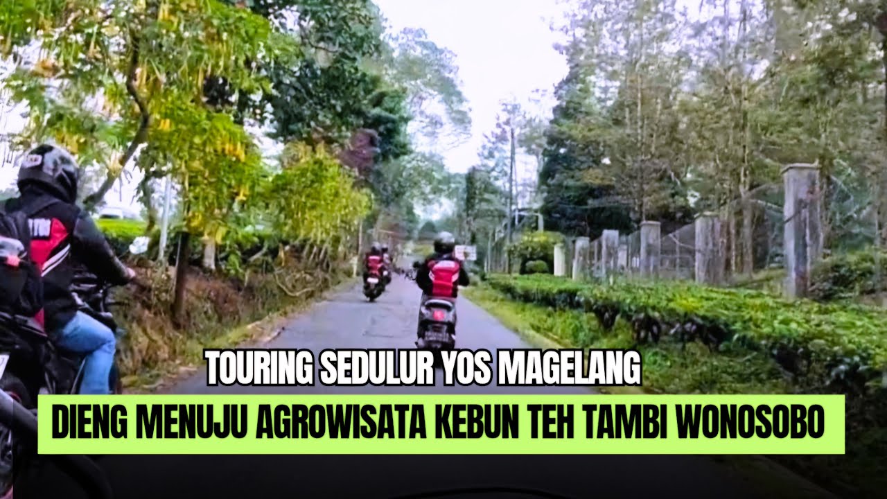 Dieng Menuju Agrowisata Kebun Teh Tambi Sikatok Wonosobo || Touring Sedulur Yos Magelang (7/2/2026)