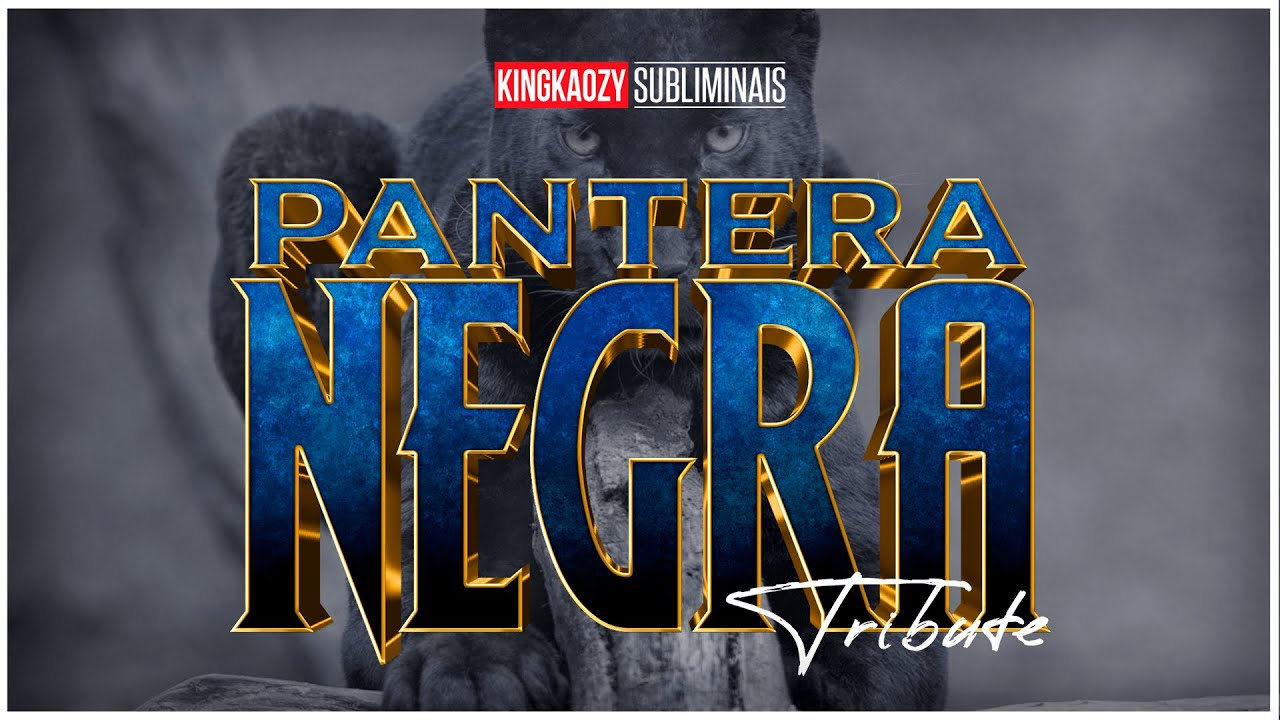 COMBO [ARQUÉTIPO PANTERA NEGRA] // resultados após ouvir