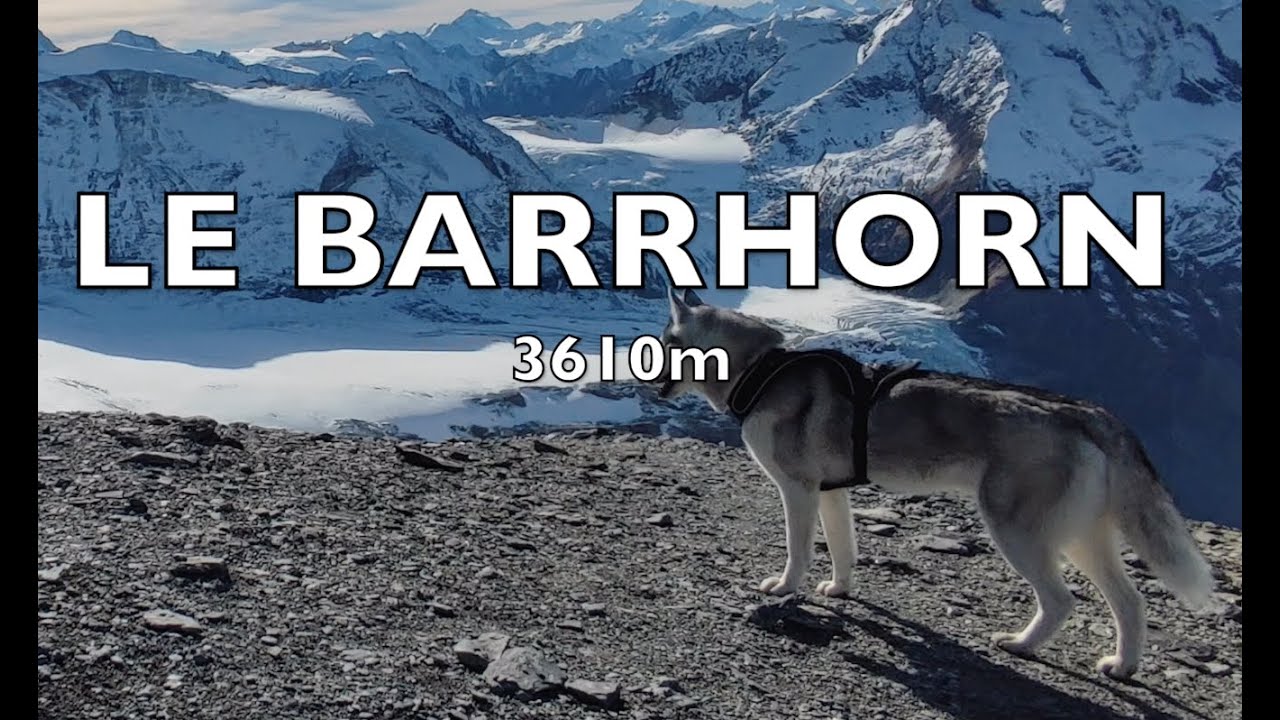 Hiking the Barrhorn with a Husky?