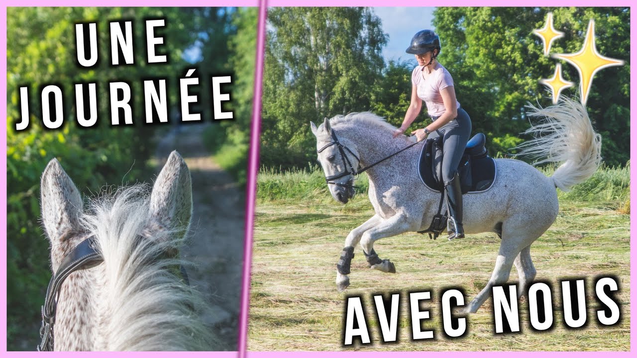 UNE JOURNÉE AUX ÉCURIES AVEC MOI - Mathilde & Sligo