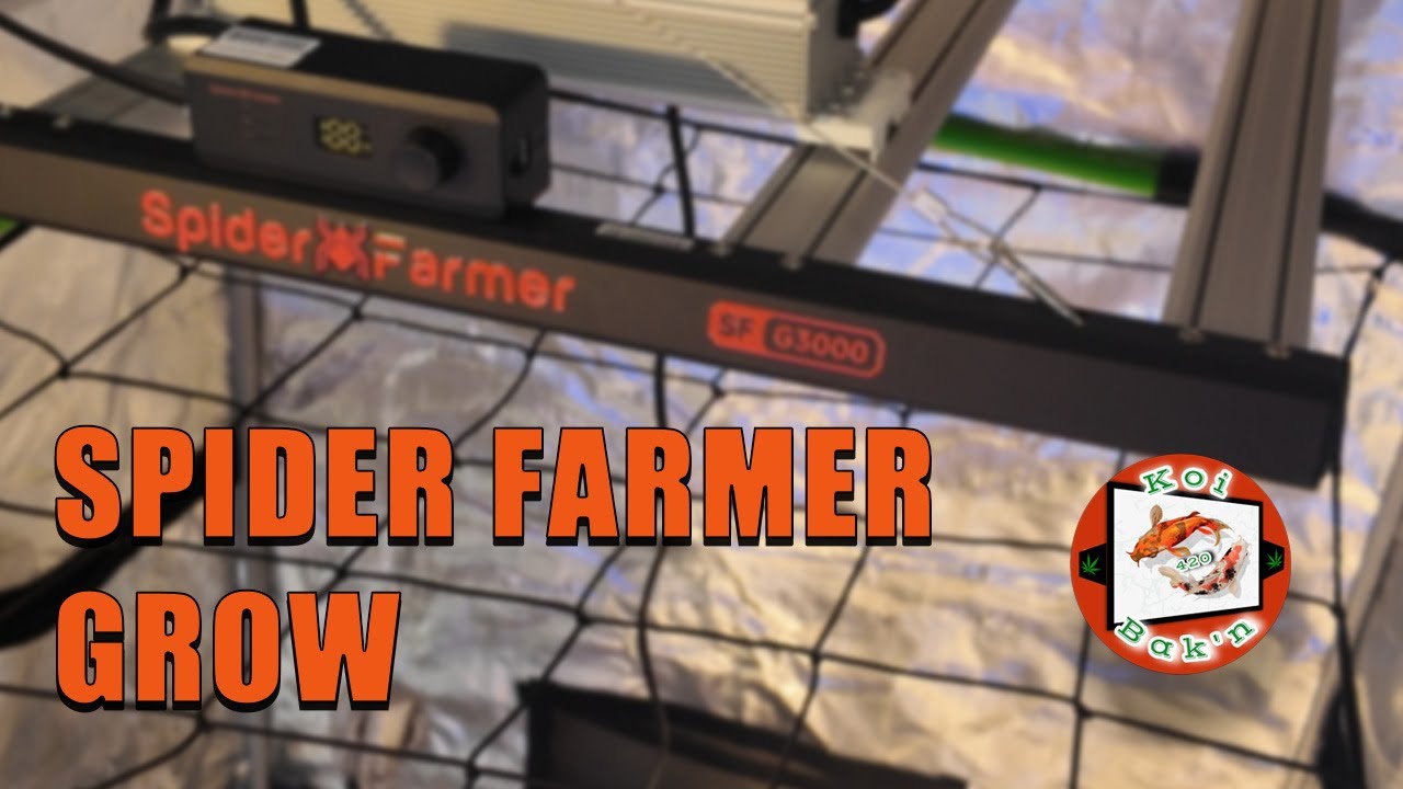 Spider Farmer G3000 Grow Tent Kit | Ep 1 | Unboxing and Tent Setup
