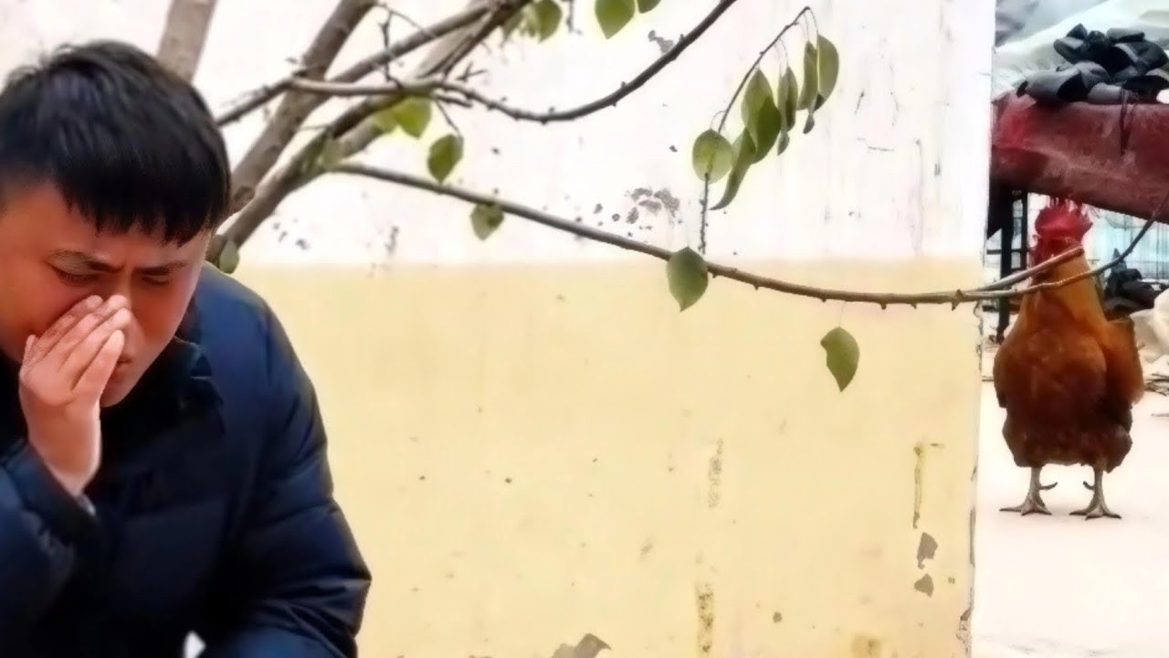 These Chickens Heard a Strange Sound Their Reactions Are Unbelievable | Funny Animal Reactions