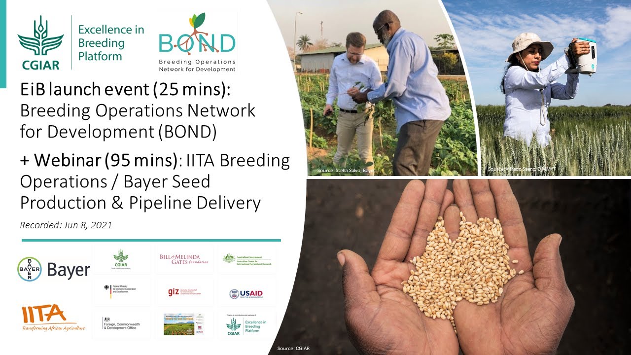 BOND Webinar 1: IITA Breeding Operations / Bayer Seed Processing