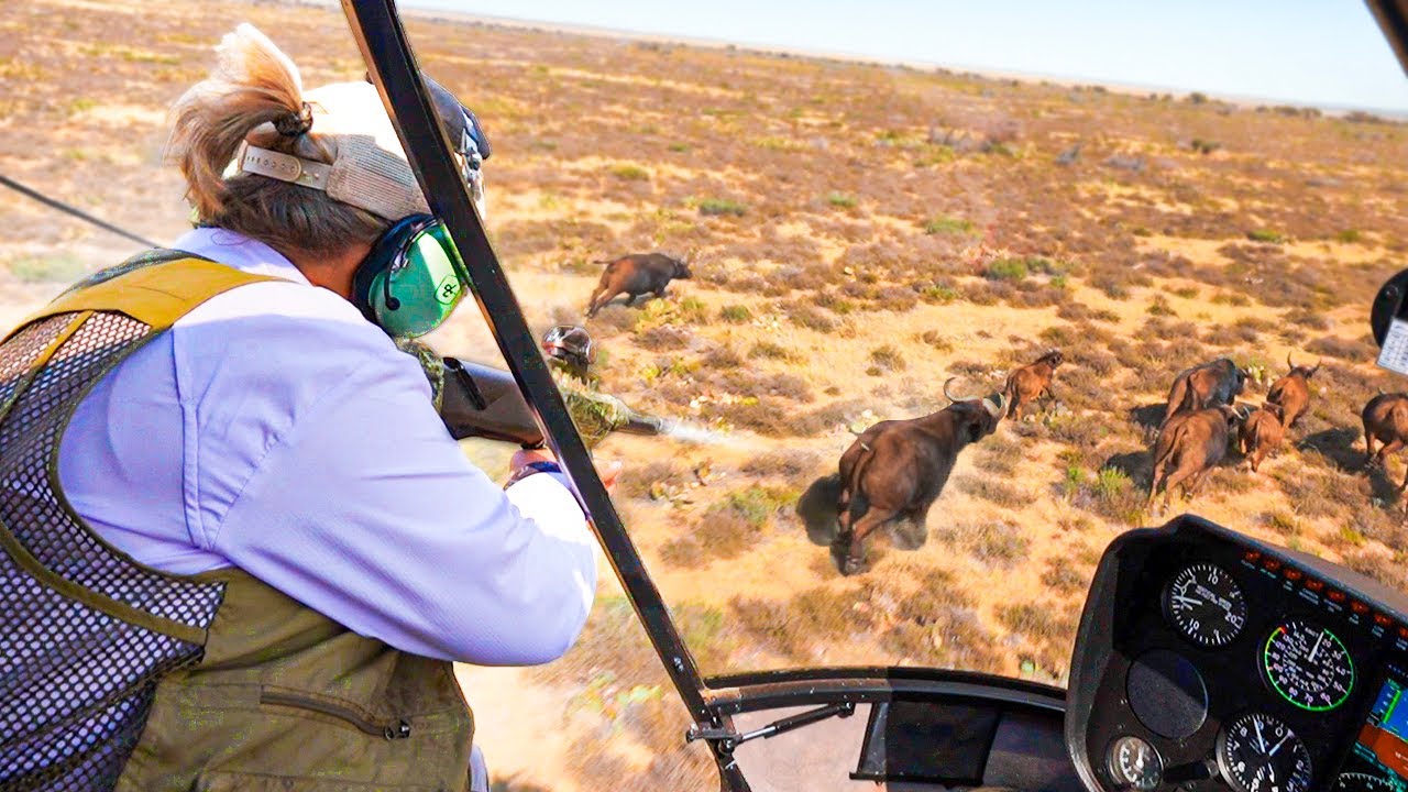 OP PAD MET EEN DIERENARTS IN ZUID AFRIKA!