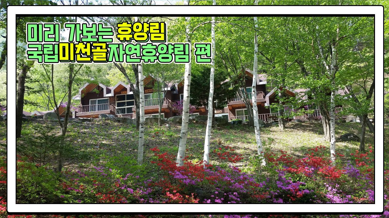 미리 가보는 휴양림 : 국립미천골자연휴양림 편