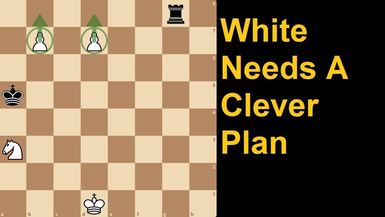 Help White Promote And Win!
