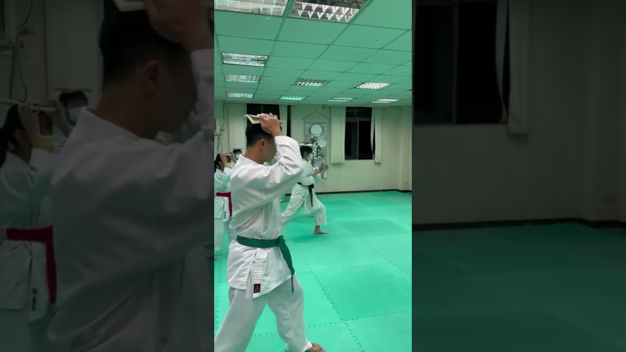 穩定訓練