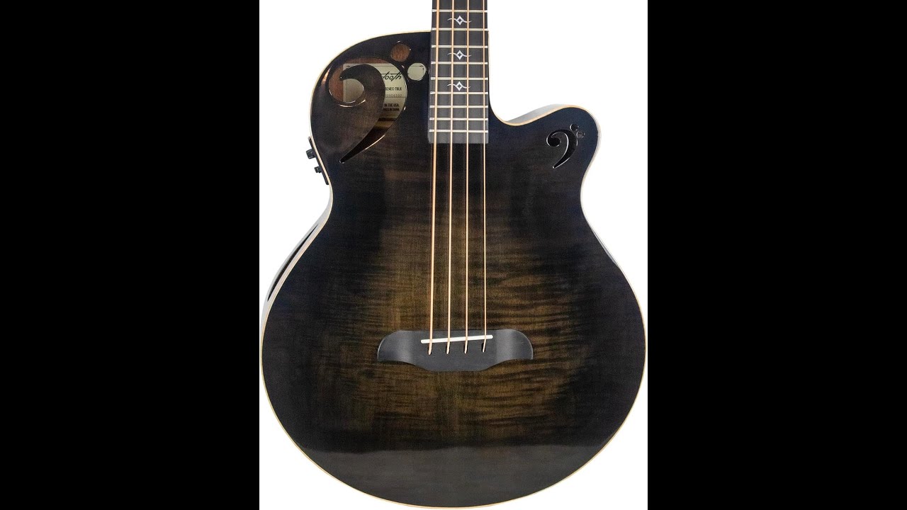 Review: Sawtooth Rudy Sarzo Signature Bass Guitar – Transparent Black Flame Acoustic-Electric!