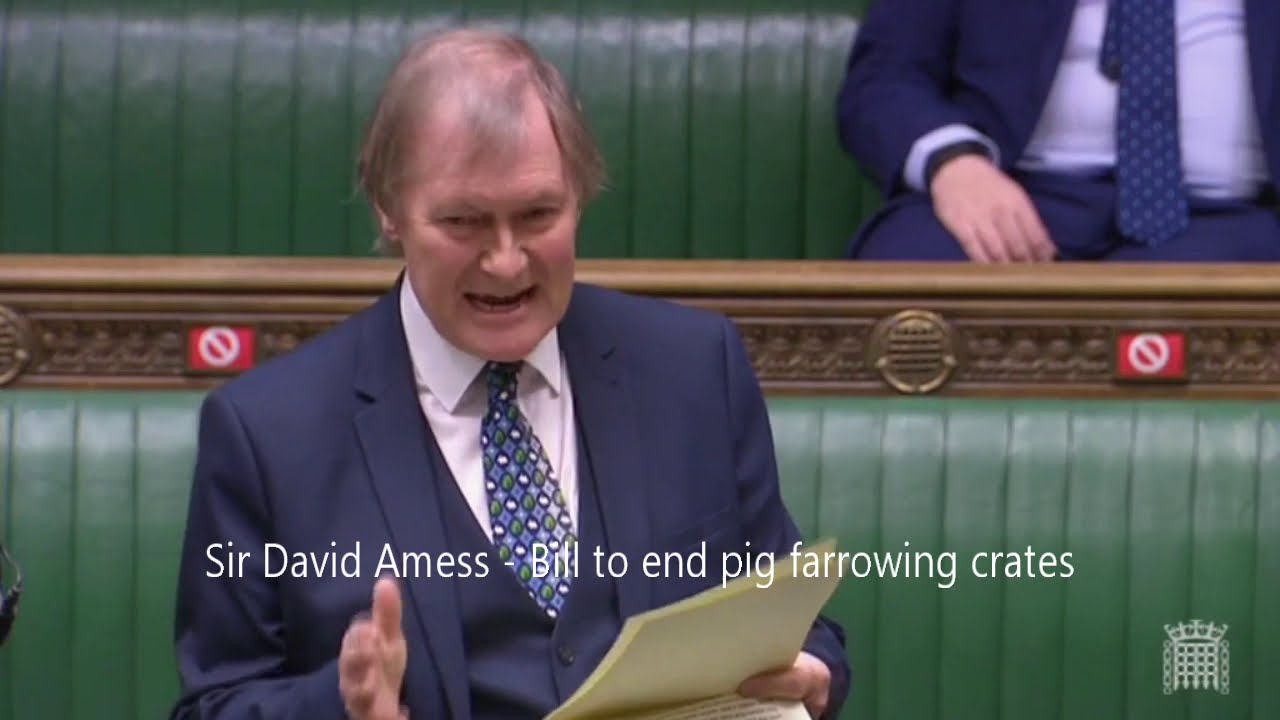 David Amess 10 min rule bill short CAWF version