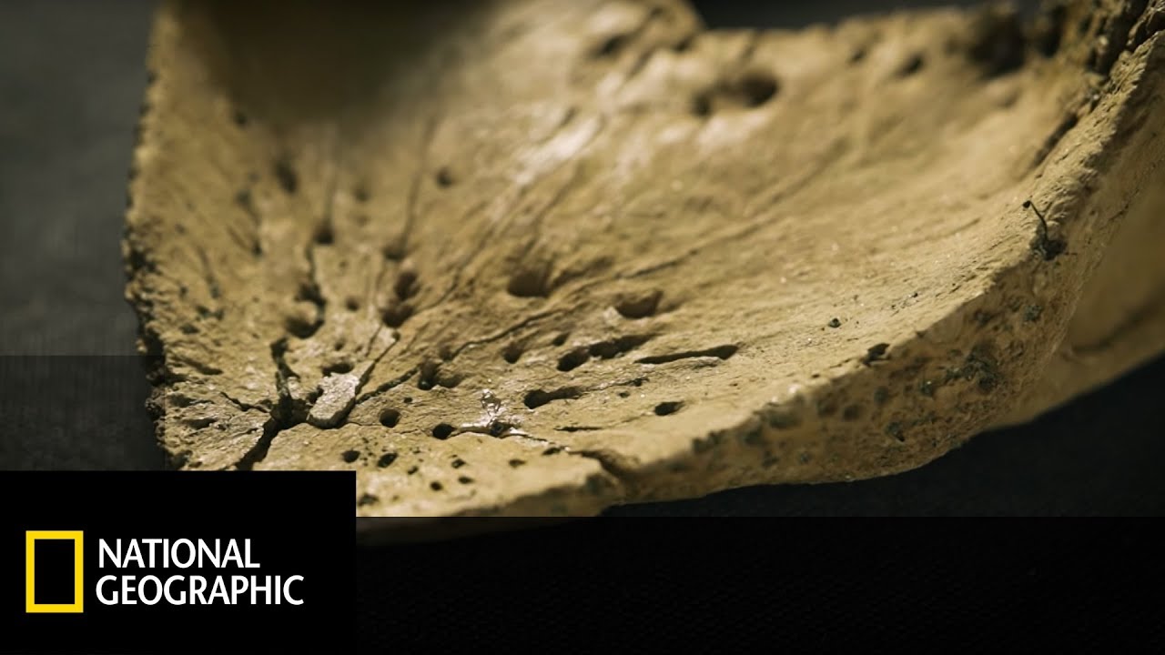 Prehistoryczne cmentarzysko dinozaur&oacute;w - Wyprawa na Dno
