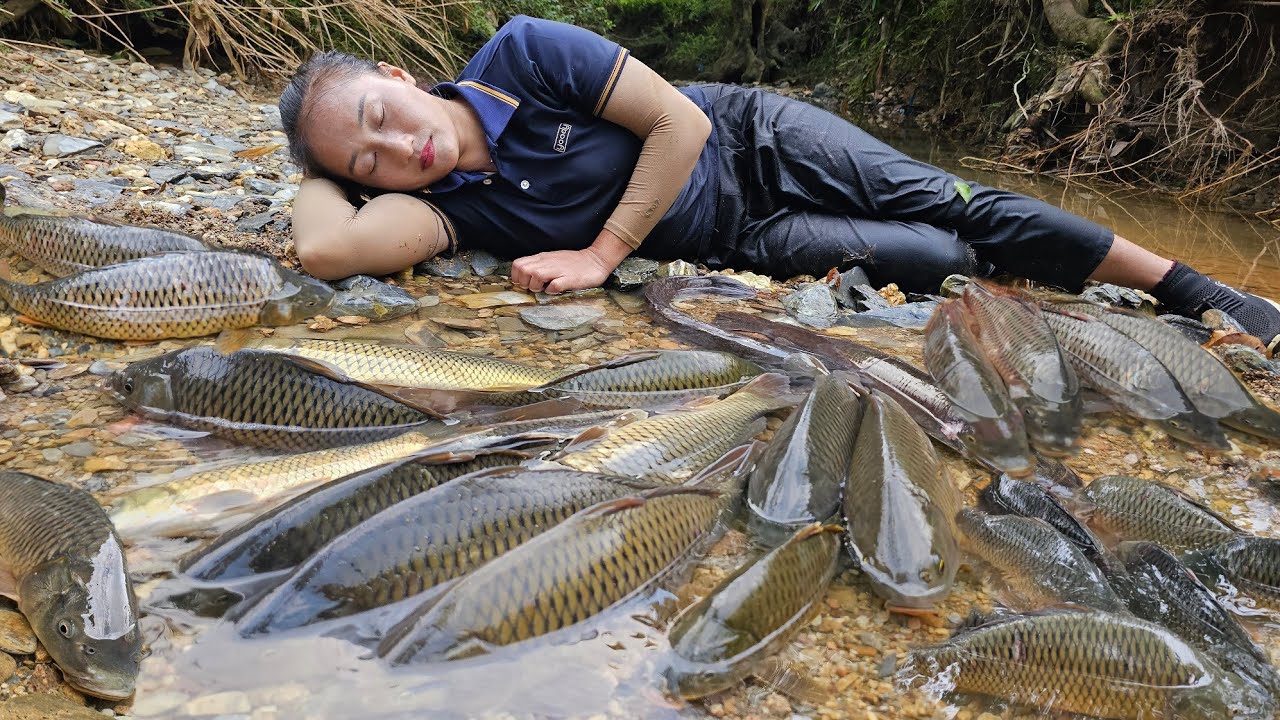 Catching giant river fish and taking them to the market to sell, cooking (grilled fish) - Ly Thi Tam