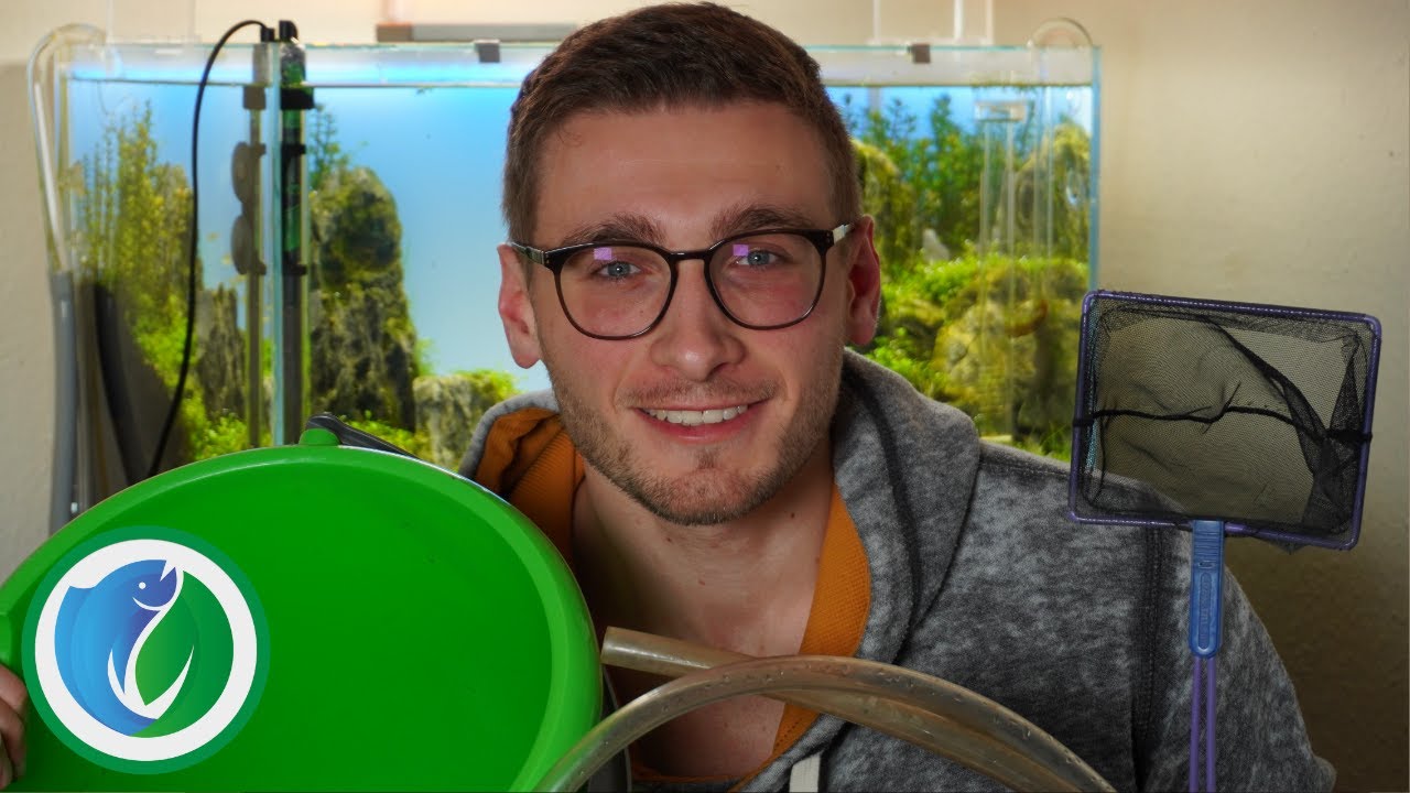 Aquarium-Pflege f&uuml;r Anf&auml;nger - Wasserwechsel & Co - Aquaristik f&uuml;r Anf&auml;nger 2