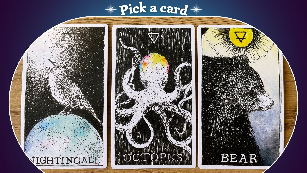 Universe's Next BIG Plan For You? ✨🌞🧡🤩✨Pick a card⎜Timeless Reading