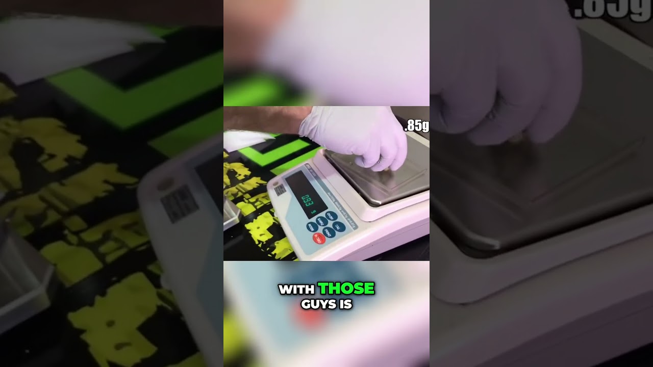 Single Nug Smash: The Easiest Way to Press Your Cannabis! #shorts