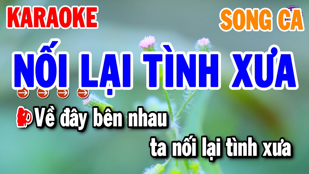 Nối Lại Tình Xưa Karaoke Song Ca Nhạc Sống Cha Cha Hay | Thanh Hải Organ