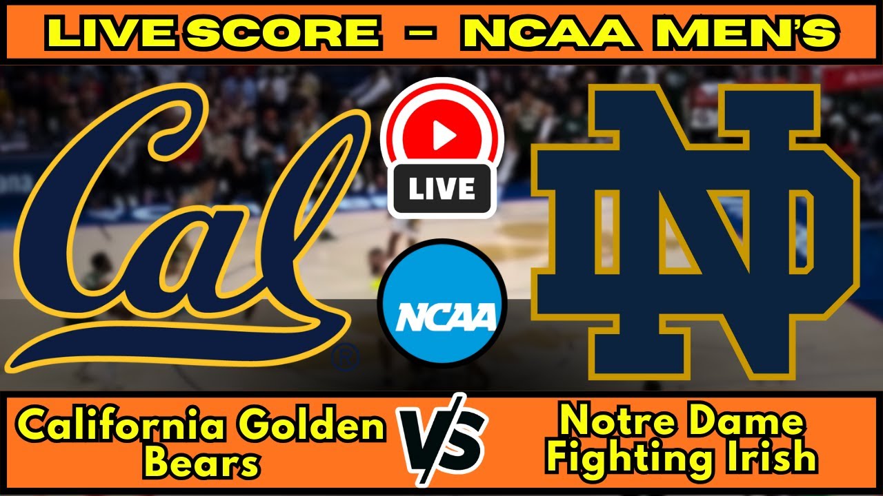 🔴 California Golden Bears vs Notre Dame Fighting Irish | NCAA Men&rsquo;s Basketbal | Live Score January 2
