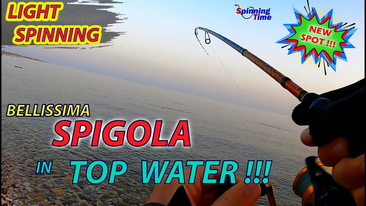 LIGHT SPINNING - BELLISSIMA SPIGOLA IN TOP WATER !!!