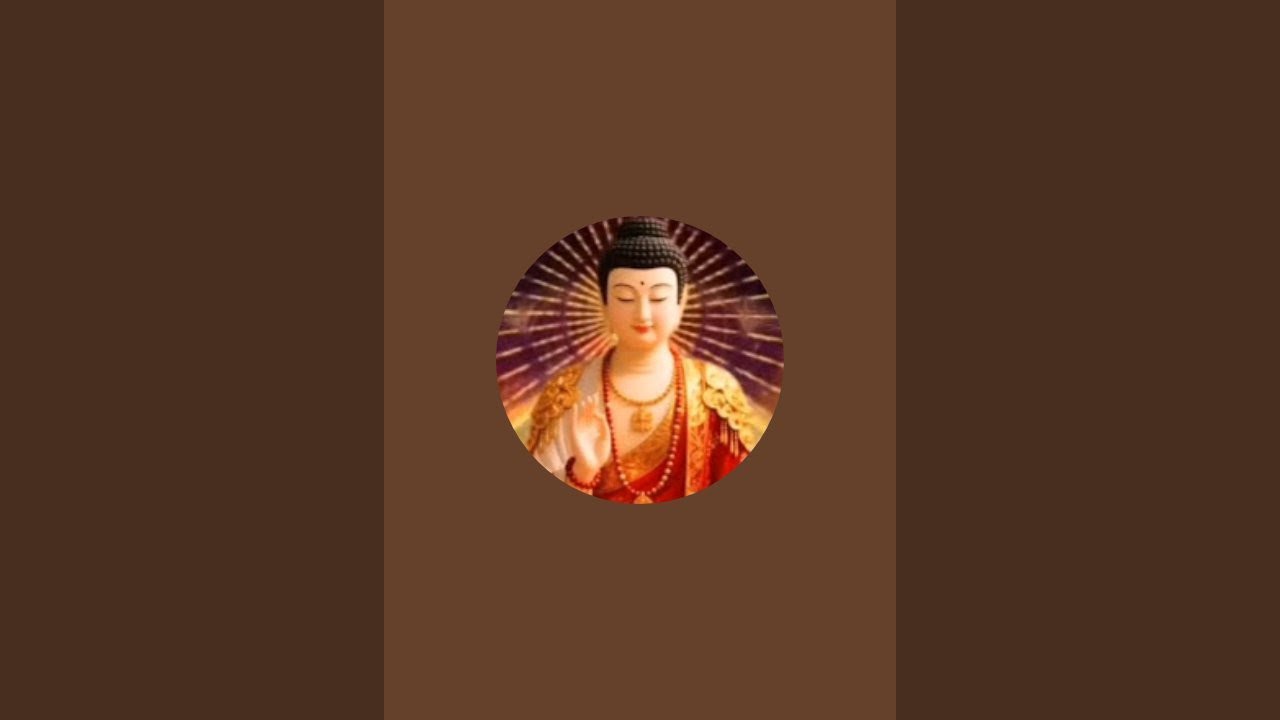 🛑 CHÚC CẢ NHÀ BUỔI TỐI VUI VẺ