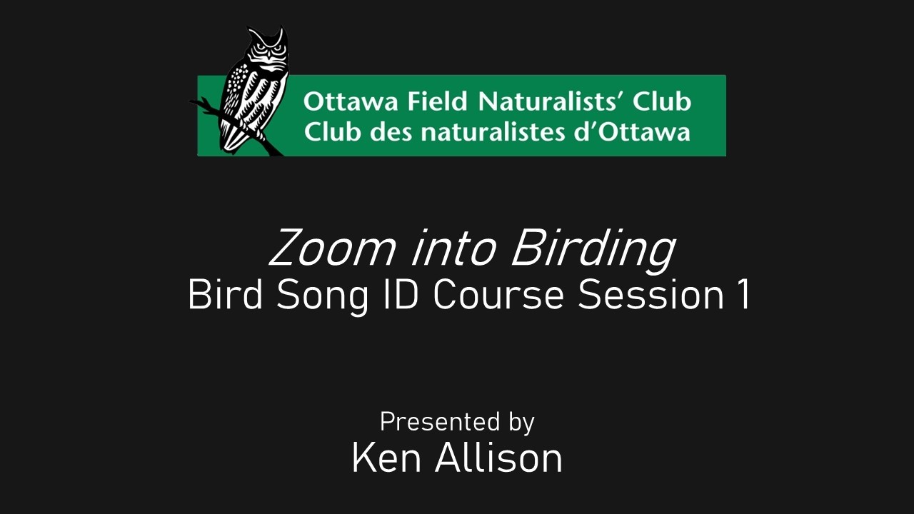Zoom into Birding: Bird Song ID Course Session 1